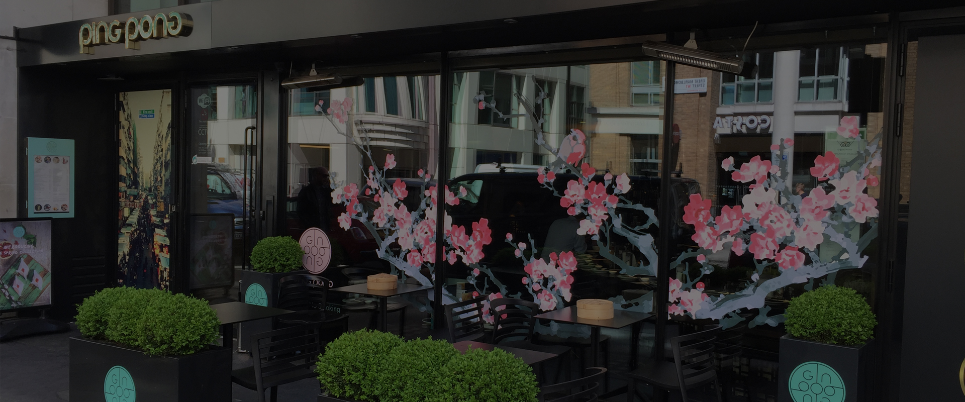 homepage-banner-5 window graphics vinyl